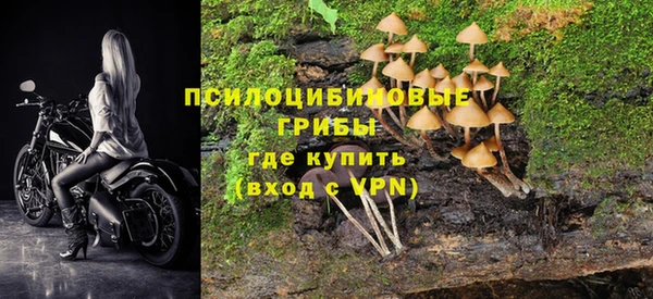 твердый Алексеевка